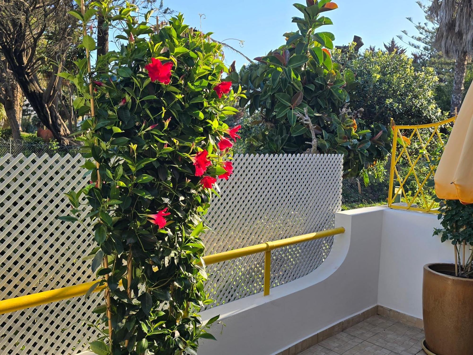 Apartamento Victoria Vilamoura Exterior foto